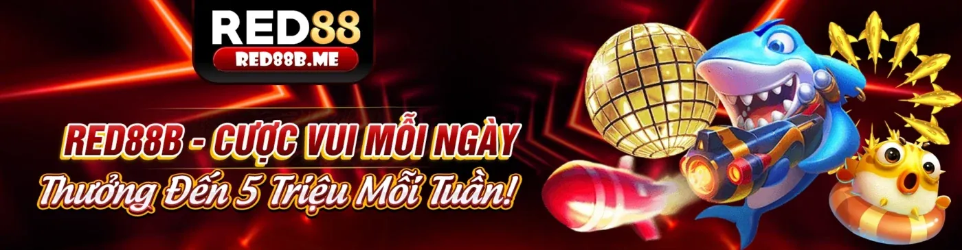 Hình ảnh chính blog 8kbrt trang chủ chính thức